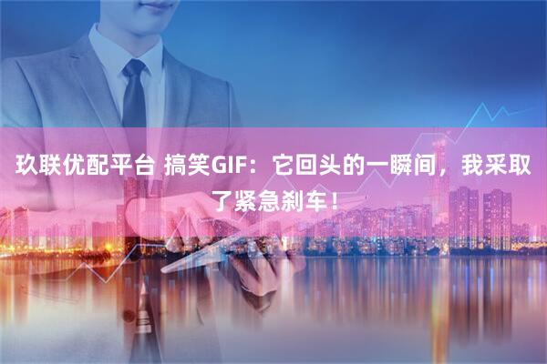 玖联优配平台 搞笑GIF：它回头的一瞬间，我采取了紧急刹车！